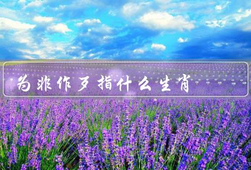 为非作歹指什么生肖（猴年的象征意义／为非作歹的具体表现）