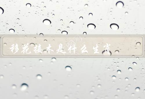 移花接木是什么生肖（起源／与生肖猪联系／应用和意义）