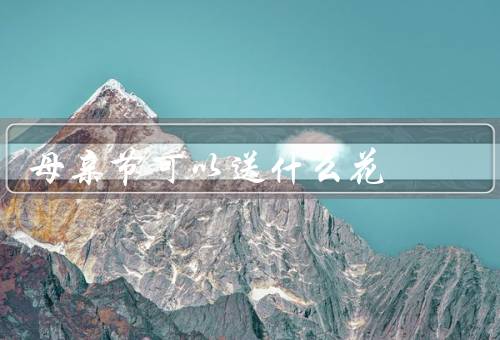 母亲节可以送什么花（康乃馨、满天星、康乃兰）