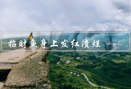 招财鱼身上发红溃烂