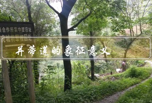 并蒂莲的象征意义，和谐／团结／爱情
