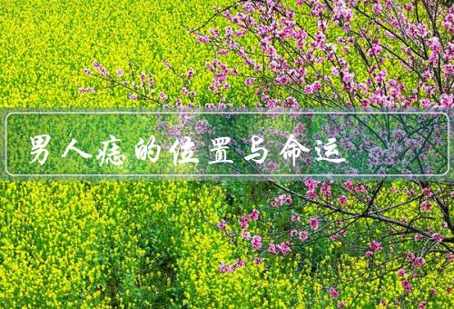 男人痣的位置与命运（左眉处／右颧骨处／下巴处）
