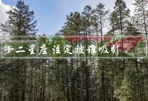 十二星座注定被谁吸引（白羊座／金牛座／双子座）