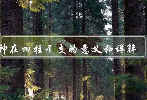 十神在四柱干支的意义和详解，定义和分类／意义和解读／小结