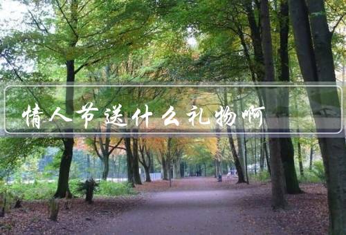 情人节送什么礼物啊（花束、巧克力、手工礼物）