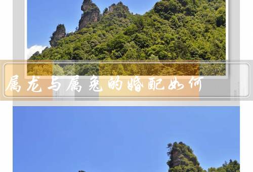 属龙与属兔的婚配如何（性格特点、相互吸引、婚姻建议）