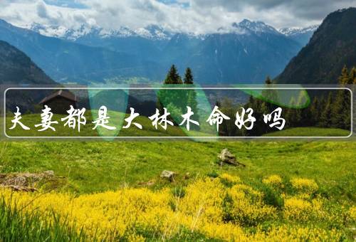 夫妻都是大林木命好吗，夫妻关系稳定／事业成就可能更高