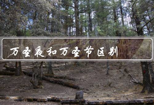 万圣夜和万圣节区别，万圣夜、万圣节、区别