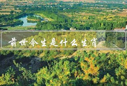 前世今生是什么生肖，十二生肖／前世命运／现世性格