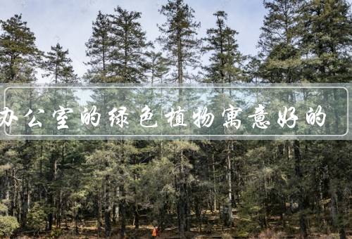 放办公室的绿色植物寓意好的，增添生机、提升空气质量、舒缓压力