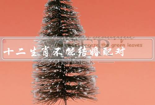 十二生肖不能结婚配对（相生相克的理解／生肖配对的禁忌）