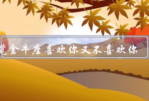 感觉金牛座喜欢你又不喜欢你，自私的关心、保持距离、暧昧的言行