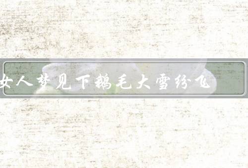 女人梦见下鹅毛大雪纷飞，白雪皑皑／鹅毛般的飞雪／幸福的预兆