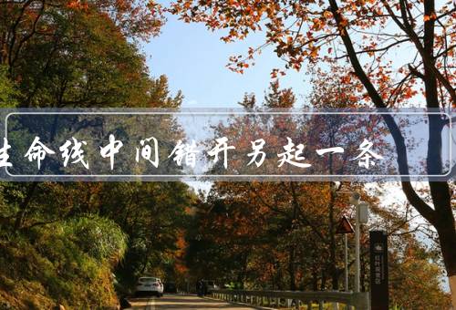 生命线中间错开另起一条（原因、解读、重要性）