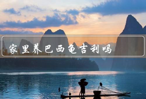 家里养巴西龟吉利吗，好奇心旺盛／易于照料／有益于家庭成员的情感