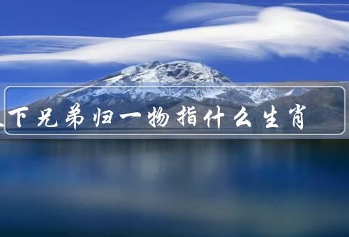 天下兄弟归一物指什么生肖（归一物的概念／共同点／文化的意义）