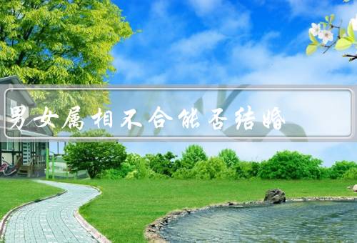 男女属相不合能否结婚，属相不合并非决定性因素