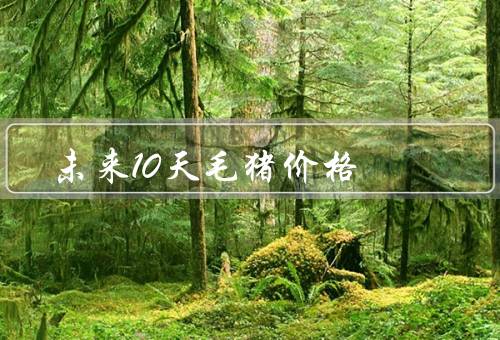 未来10天毛猪价格（供需关系／政策因素／疫情影响）