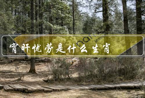 宵旰忧劳是什么生肖，宵旰忧劳／影响健康／如何改善
