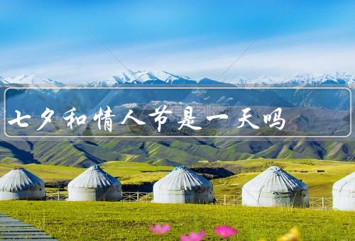七夕和情人节是一天吗，情人节、和情人节的不同