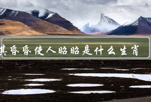 以其昏昏使人昭昭是什么生肖，传说中的生肖