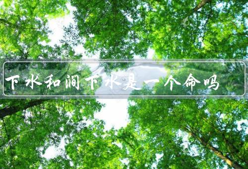 洞下水和涧下水是一个命吗，水源特点／形成过程／生态环境影响
