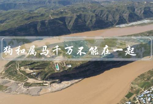 属狗和属马千万不能在一起，性格差异、生活习惯不协调、价值观冲突