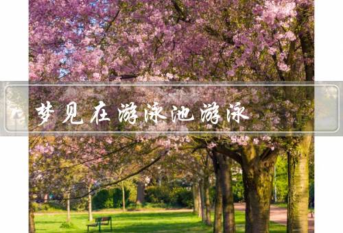 梦见在游泳池游泳（畅游水中／畅谈欢笑／自由翱翔）