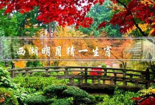 西湖明月猜一生肖，起源／方式／意义