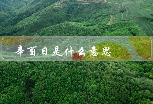 辛酉日是什么意思，起源、气候特点、节庆活动