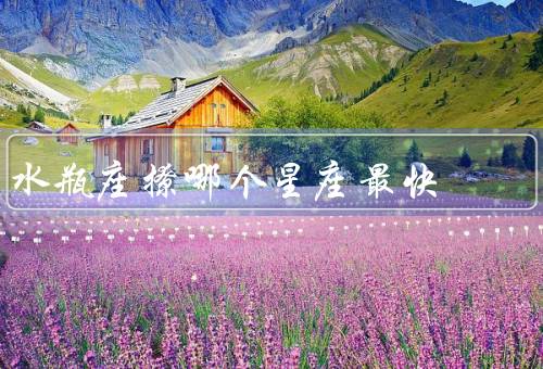 水瓶座撩哪个星座最快，白羊座／天秤座／双子座