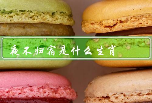 夜不归宿是什么生肖，夜不归宿、夜生活的诱惑、责任意识的培养