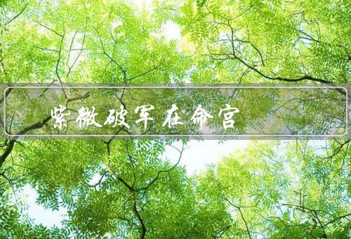 紫微破军在命宫 最高格局，紫微破军带来的勇猛奋进