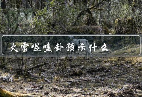 火雷噬嗑卦预示什么，火雷相争／危机与转机／调整与平衡