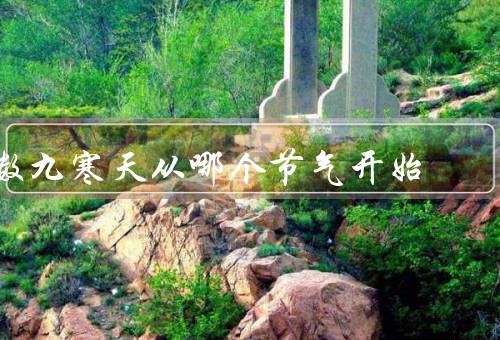 数九寒天从哪个节气开始（大寒、雨水、惊蛰）