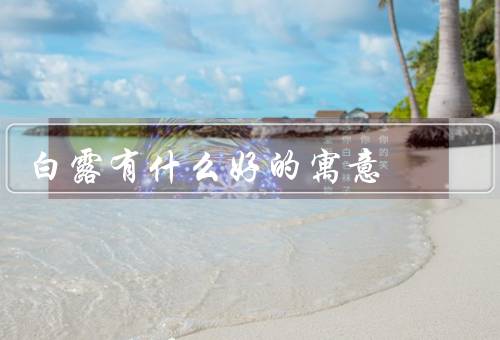 白露有什么好的寓意，收获／健康／情感