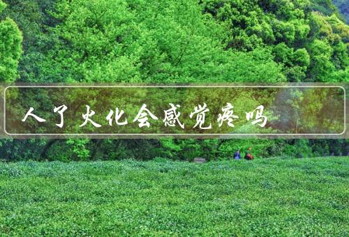 人死了火化会感觉疼吗（过程／后的感觉／意义）