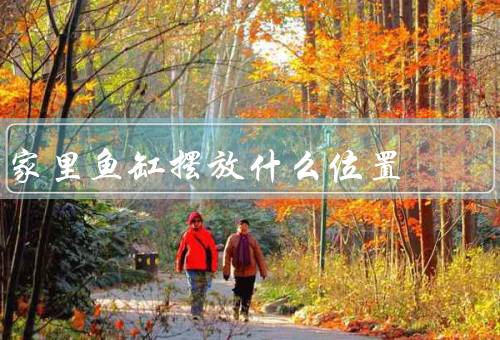 家里鱼缸摆放什么位置最佳（鱼缸放置室内／过于明亮的地方）