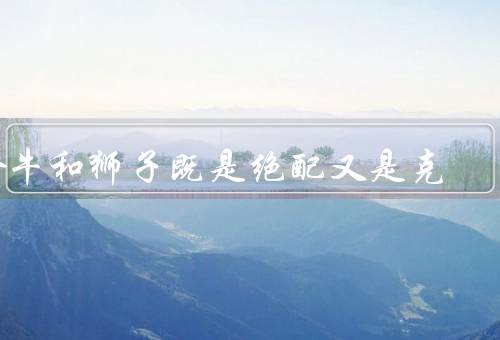 金牛和狮子既是绝配又是死克（互补之处／冲突之处／相处之道）