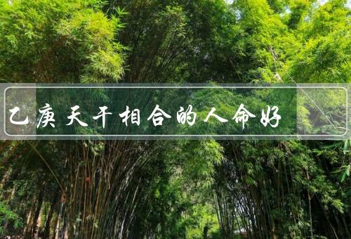 乙庚天干相合的人命好（具有聪明才智／拥有坚强的意志力）