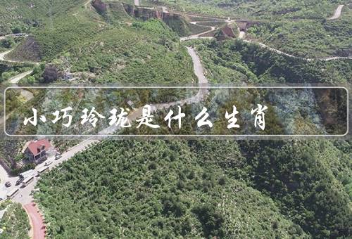 小巧玲珑是什么生肖，小巧玲珑／特征／代表人物