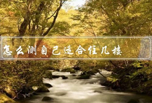 怎么测自己适合住几楼（楼层高度／交通便利度／安全考虑）
