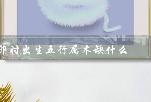 卯时出生五行属木缺什么（木缺金、缺乏坚持力、情绪波动）