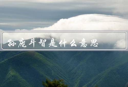孙庞斗智是什么意思，孙权与庞统的背景、智斗的过程、影响与启示