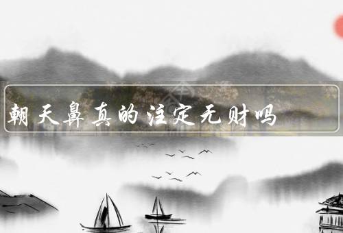 朝天鼻真的注定无财吗，如何影响财运／吉祥象征／个人努力决定财富
