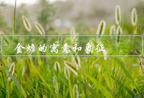 金蟾的寓意和象征风水，寓意、象征风水、应用