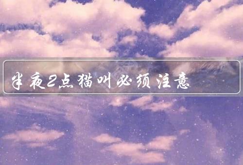 半夜2点猫叫必须注意，猫叫的原因、影响睡眠的问题