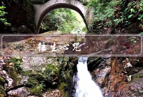 阿弥陀佛往生心咒，阿弥陀佛往生心咒、念诵方法、咒语的功德