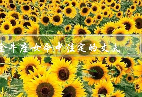 金牛座女命中注定的丈夫（理性的决策者／事业有成的人／忠诚的伴侣）