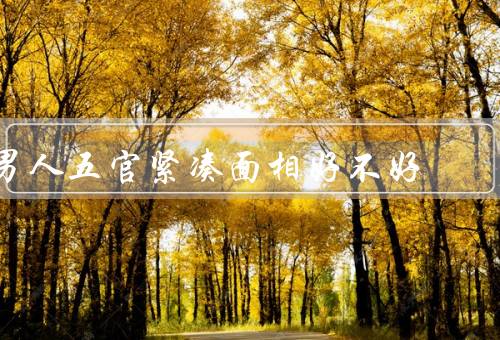 男人五官紧凑面相好不好，面部轮廓更加立体／五官协调和谐